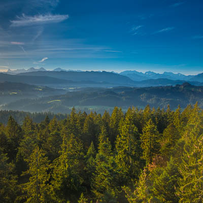 Aussicht vom Aussichtsturm in Röthenbach