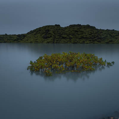 Blauer See inmitten von Islandmoos