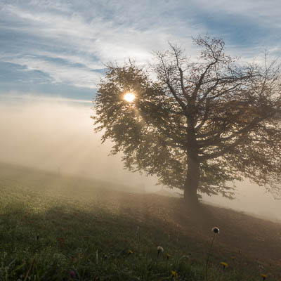 Chuderhüsi im Emmental