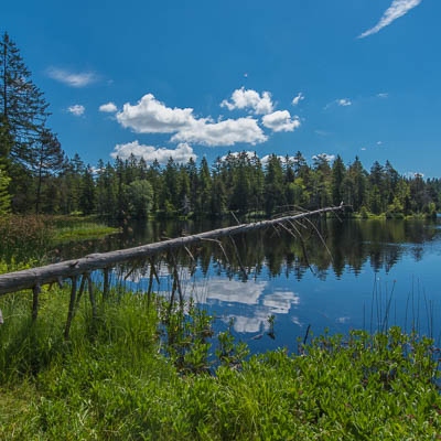 Etang de la Gruère