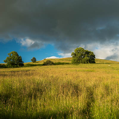 Feld nördlich von Stirling