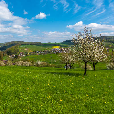 Frühling in Baselland