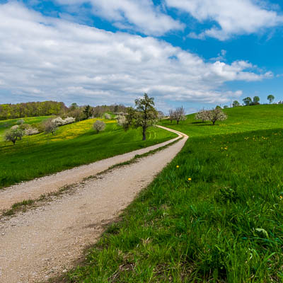Frühlingslandschaft in der Nähe von Sissach