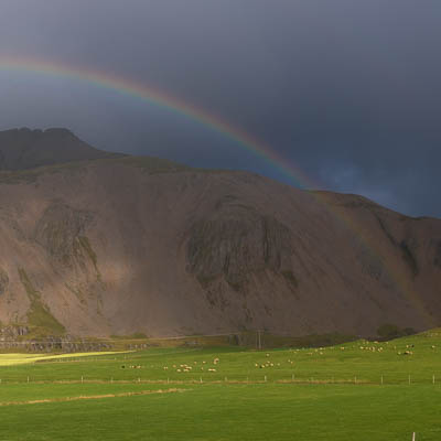 Ganzer Regenbogen
