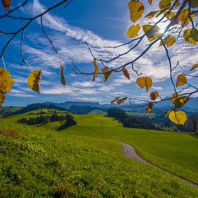Landschaft im Emmental