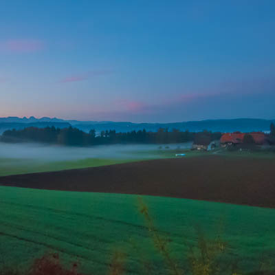 Morgennebel