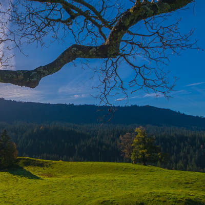 Morgenstimmung im Emmental