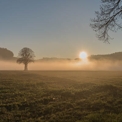 Nebel bei Sonnenuntergang
