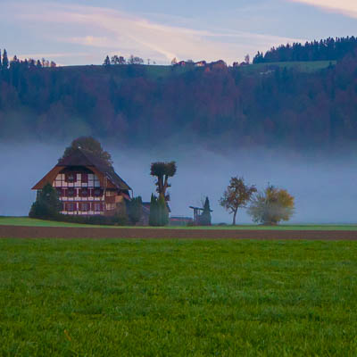 Nebliger Morgen
