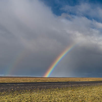Regenbogen über Strasse