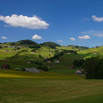 Toggenburg